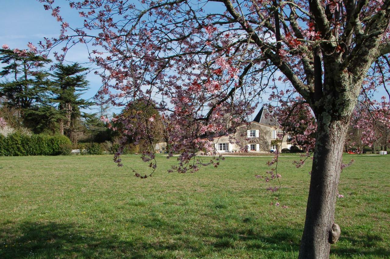 Chateau Ysard Camblanes-et-Meynac Esterno foto